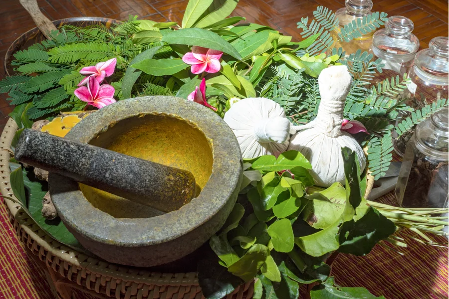 Ayurvedic cooking class in Rishikesh - healing spices and kitchari preparation